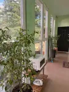 Любимый - 39
