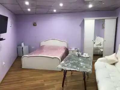 Артик - 10