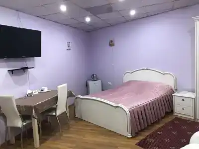 Артик - 9