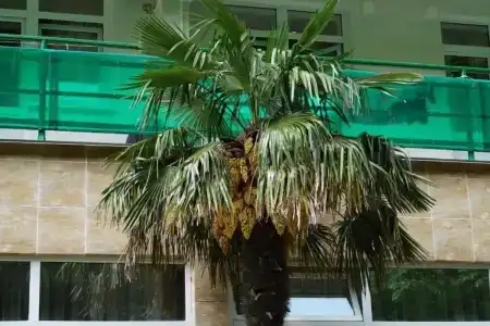 Южный - 8