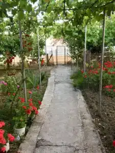 Гладиатор - 12