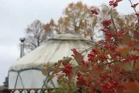 Юртовый Комплекс - 5
