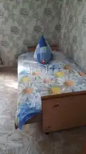 Тимофеевский - 41
