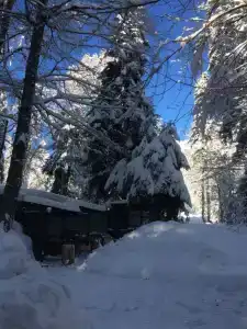 В гостях у сказки - 17