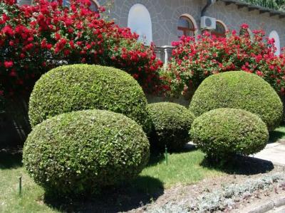 Ателика Карасан - 19