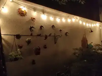 Ялтинский дворик - 42