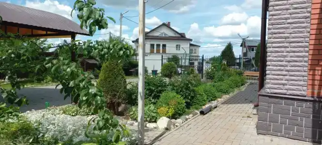 Любимый Суздаль - 1