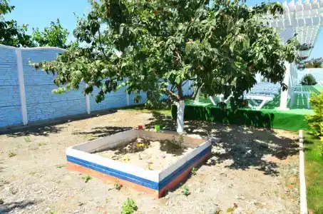 Горизонт - 11