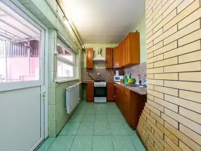 Клён - 2