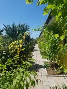 Вилла Лаура - 60