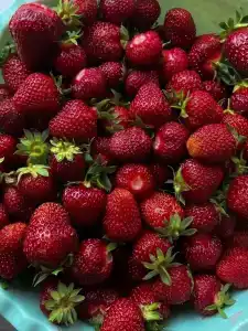 Гостевой дом Vilajoki Agro - 23