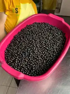 Гостевой дом Vilajoki Agro - 25