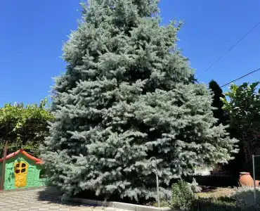 Фем Ландия - 6