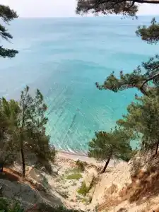 Аммонит - СевКавТисиз - 54