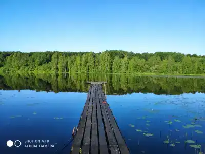 Уютный коттедж у реки - 22