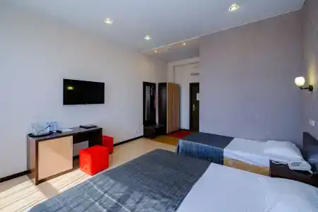 Авангард - 79