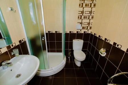 Авангард - 95