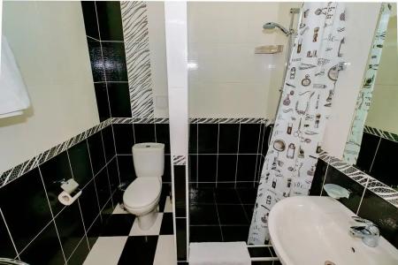 Авангард - 96