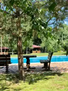 Лукоморье - 20