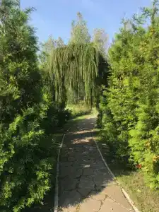 Хуторок - 38