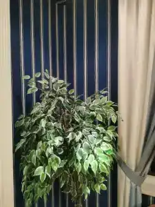 Хуторок - 88