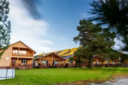 GreenWood - 1