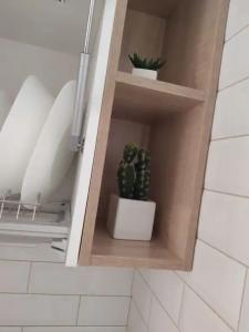 Залесный - 113