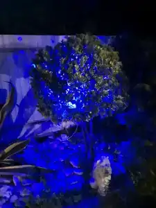 Номера на самом берегу моря - 15