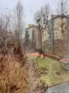 Чайка - 4