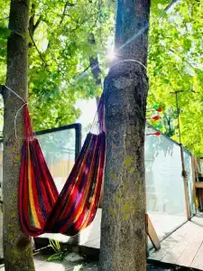 PodSpot Hostel - 42
