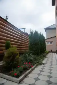 Альфа - 3