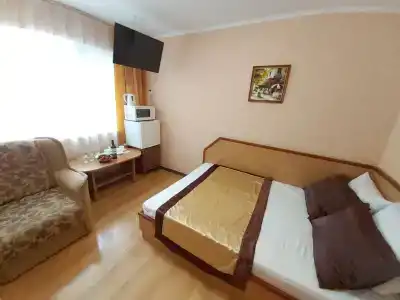 Сливовый - 8