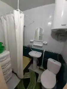 Сливовый - 9