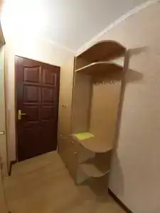 Сливовый - 10