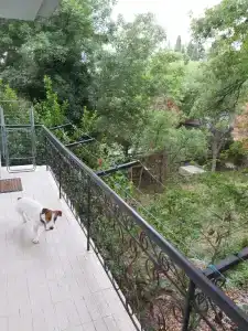 Сливовый - 11