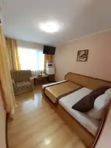 Сливовый - 12