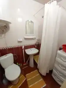 Сливовый - 13