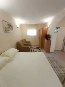 Сливовый - 19