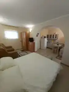 Сливовый - 20