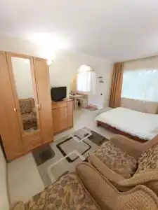 Сливовый - 22