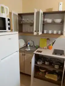 Сливовый - 23