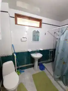 Сливовый - 26