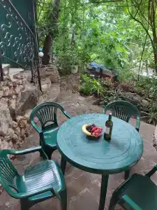 Сливовый - 28