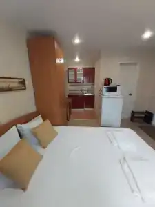 Сливовый - 31