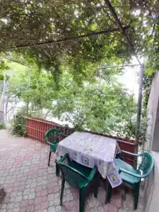 Сливовый - 37