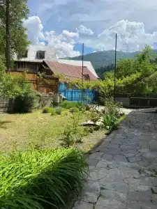 Уютный дворик вблизи леса - 0
