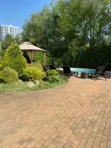 Вероника - 78