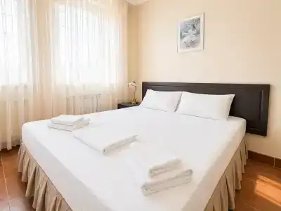 Амфора - 50