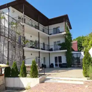Фисташка - 23