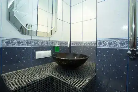 Серый Гусь - 11